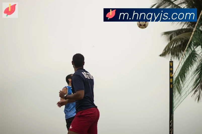 App Interface Preview