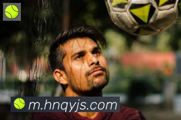 leyu乐鱼官方网站APP 高清赛事图